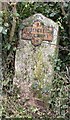 Old Milestone by the UC road, opposite Fairmile Farm