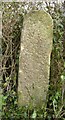 Parish Boundary Marker for Maiden Newton