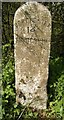 Old Milestone by the A352, Holnest