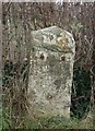 Old Milestone by the B3081, east of Cucklington