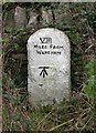 Old Milestone by the A3069, north of Acton