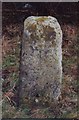 NZ1624 : Old Milestone by the A688, north east of Evenwood Gate by IA Davison