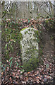 Old Milestone south of Stowford Cross