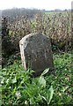 Old Milestone south of Chittlehamholt