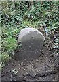 SS5226 : Old Milestone by the B3232, Newton Tracey by R Roomes & A Rosevear