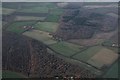 Bardney Limewoods: aerial 2017