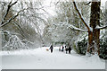 A snowy Woodland Walk in Penn, Wolverhampton