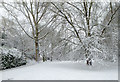 Woodlands Walk in the snow, Penn, Wolverhampton