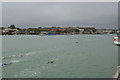 Openwater swimmers, River Arun