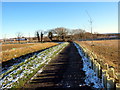 Llwybr newydd  / New path