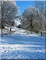 Footpath to Usmere Road, Springfield Park, Kidderminster