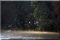 Mist rising off the River Ness, Inverness