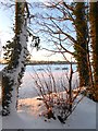 Hornton Grounds Farm in snow