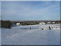 Slopes of Bushbury Hill