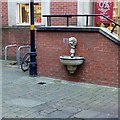 Drinking fountain, The Bourse