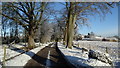 Snowy scene - driveway to Tall Chimneys near Sandbach