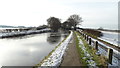 Bridgewater Canal by Moorefield Bridge, Moore