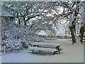 Snowy Picnic Area