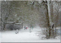 SO9095 : Winter in Muchall Park, Penn, Wolverhampton by Roger  D Kidd