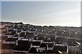 Roofscape, Keyham