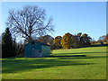 Shed in Bourne Park