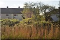 Houses, Ottowa Rd