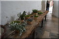 Hampton Court Palace - kitchen herbs