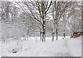 Snowy footpath in Woodlands Walk, Penn, Wolverhampton