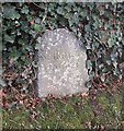 Old Milestone by the A708, Hunterheck