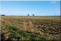 Flat Landscape around Standalls Farm