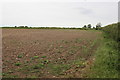 Field Next to Ashen Cross Quarry