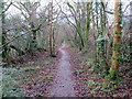 Llwybr Drefach / Drefach Path