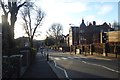 TQ2685 : Zebra Crossing on Arkwright Road by DS Pugh