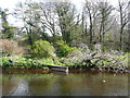 Fishing quay in the River Ayr