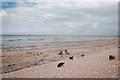 ST0243 : Dog walkers, Watchet beach by Bill Harrison