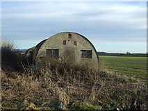 SE3779 : Hut beside the A61, Skipton-on-Swale by JThomas