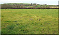 Bride flood plain east of Burton Bradstock