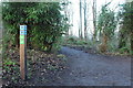 NS2209 : Waymarked Trails at Culzean Country Park by Billy McCrorie