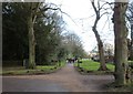 Trans Pennine Trail at Wentworth