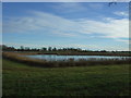 Flooded gravel pit, Lady Bridge