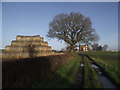 Bridleway from Bambury Farm to Westdale Farm