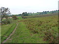 Jack Mytton Way above Bockleton