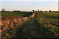 Path between Newton le Willows and Crakehall looking East