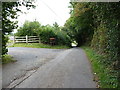 Thorn Lane at the entrance to Lower Bush Farm