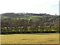 Riverside pastures, Birstwith