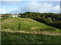 Field south of Crockwood Farm