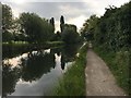 Grand Union Canal Walk