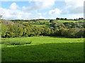 Across the valley of the Neet towards Budges Farm