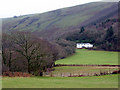 Ty-newydd (House)