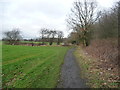 Public bridleway heading north from Skellow Cross